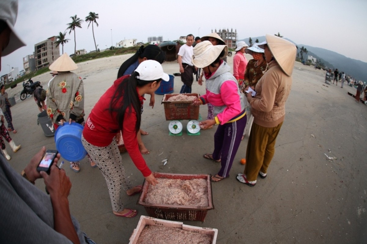 Rang ro hinh anh ngu dan Da Nang boi thu ruoc bien-Hinh-9